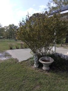 Home Close To Toledo Bend For Sale - image 14