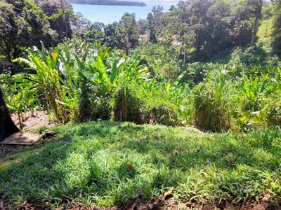 LOW PRICE Titled Lot Banana Hill, Bastimentos Island - image 5