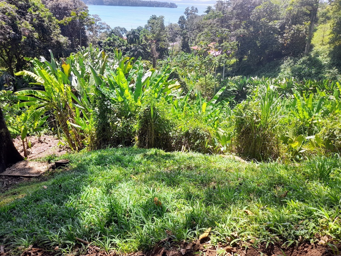 Titled Hillside Lot, 808 m², Ocean Views — Banana Hill, Isla Bastimentos - 4