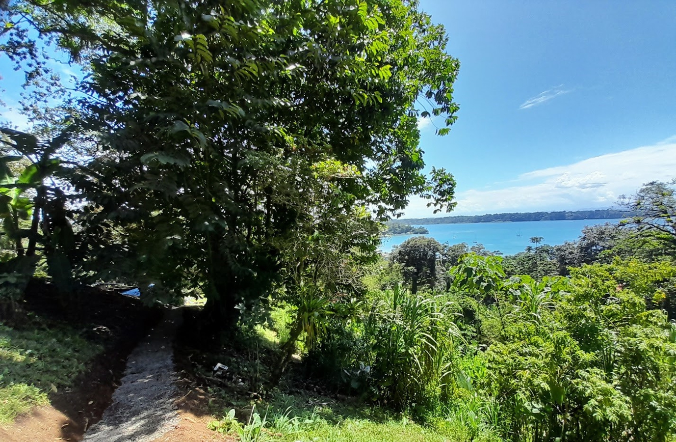 Titled Hillside Lot, 808 m², Ocean Views — Banana Hill, Isla Bastimentos - 6