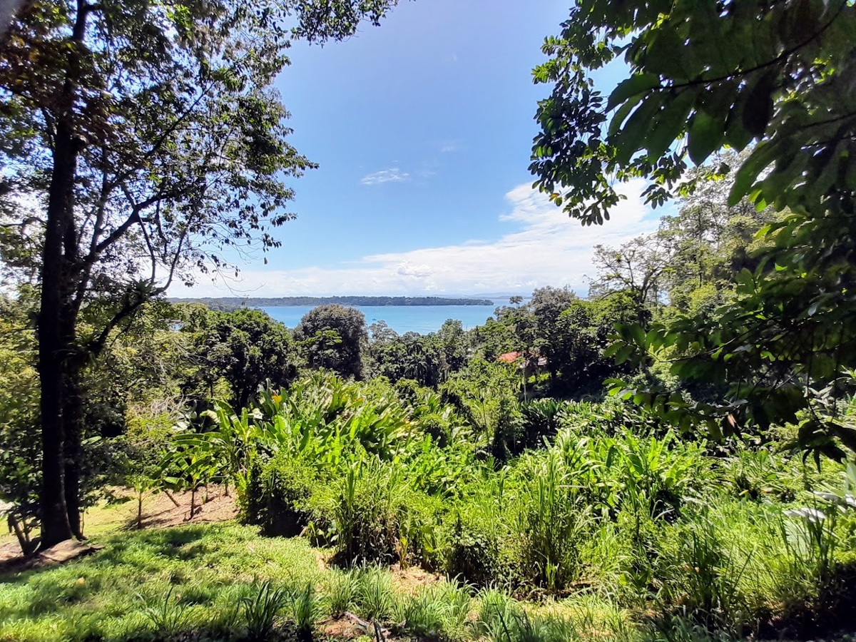 Titled Hillside Lot, 808 m², Ocean Views — Banana Hill, Isla Bastimentos - 2
