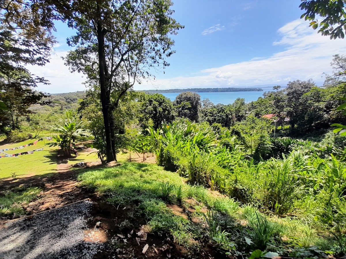 Titled Hillside Lot, 808 m², Ocean Views — Banana Hill, Isla Bastimentos - 8
