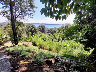 LOW PRICE Titled Lot Banana Hill, Bastimentos Island - image 2