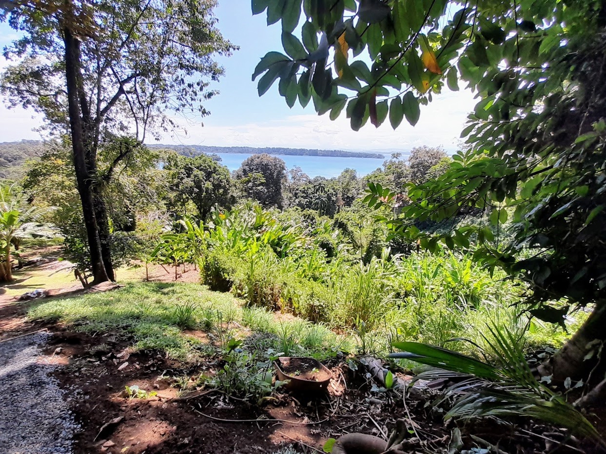Titled Hillside Lot, 808 m², Ocean Views — Banana Hill, Isla Bastimentos - 7