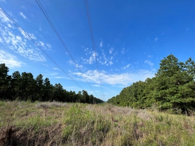 110 Acres Land for Sale Bienville Parish, LA - image 15
