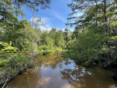 110 Acres Land for Sale Bienville Parish, LA - image 33