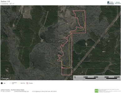 110 Acres Land for Sale Bienville Parish, LA - image 35