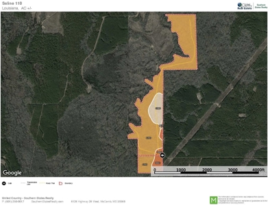 110 Acres Land for Sale Bienville Parish, LA - image 37