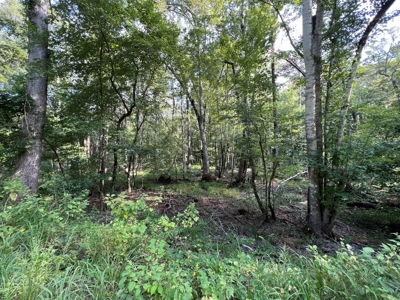 110 Acres Land for Sale Bienville Parish, LA - image 25