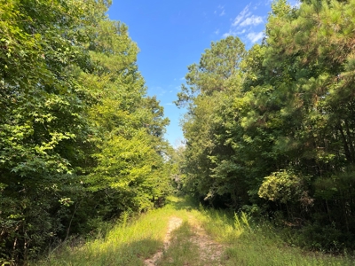 110 Acres Land for Sale Bienville Parish, LA - image 20