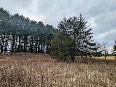 Level Land for Sale in Hiwassee VA - image 8