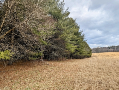 Level Land for Sale in Hiwassee VA - image 13