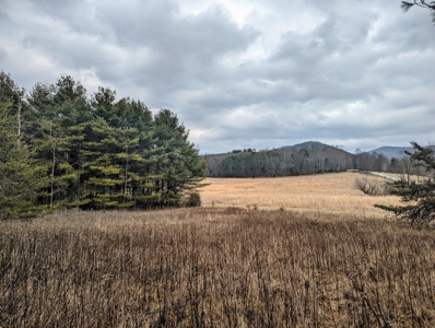 Level Land for Sale in Hiwassee VA - image 1