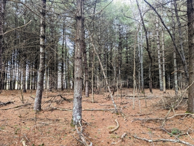 Level Land for Sale in Hiwassee VA - image 10