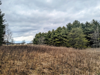 Level Land for Sale in Hiwassee VA - image 7