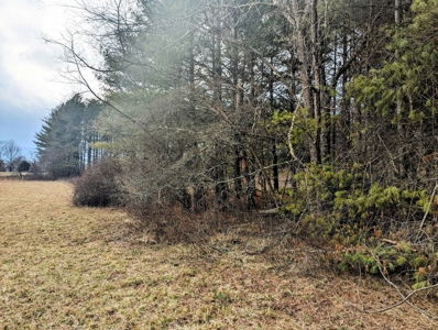Level Land for Sale in Hiwassee VA - image 14