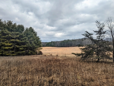 Level Land for Sale in Hiwassee VA - image 6