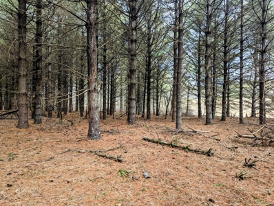 Level Land for Sale in Hiwassee VA - image 11