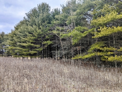 Level Land for Sale in Hiwassee VA - image 9