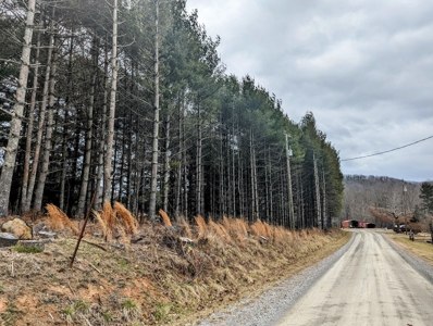 Level Land for Sale in Hiwassee VA - image 2
