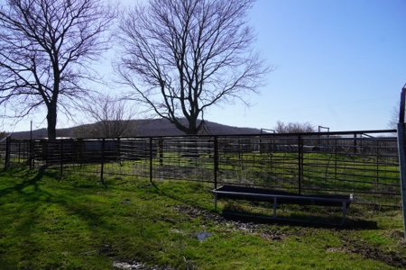 Oklahoma Country Homesite/Pasture/Cattle/Hay Farm For Sale - image 47