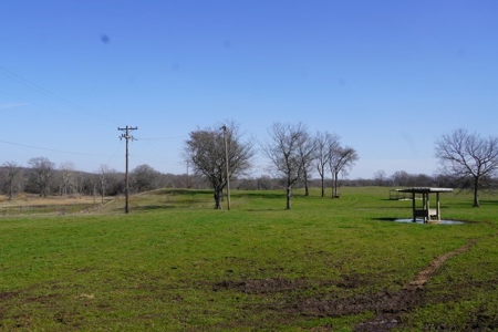 Oklahoma Country Homesite/Pasture/Cattle/Hay Farm For Sale - image 4