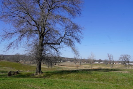 Oklahoma Country Homesite/Pasture/Cattle/Hay Farm For Sale - image 20