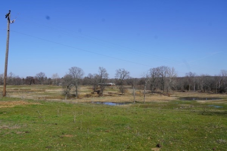 Oklahoma Country Homesite/Pasture/Cattle/Hay Farm For Sale - image 21