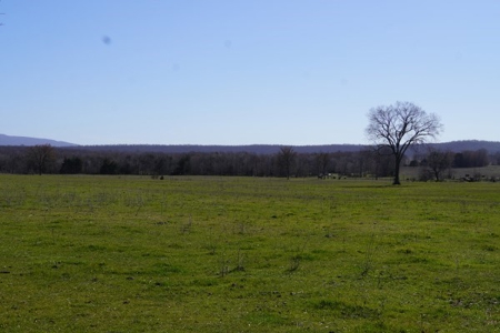 Oklahoma Country Homesite/Pasture/Cattle/Hay Farm For Sale - image 29