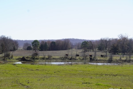 Oklahoma Country Homesite/Pasture/Cattle/Hay Farm For Sale - image 45