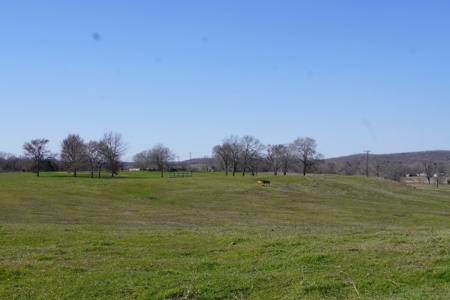 Oklahoma Country Homesite/Pasture/Cattle/Hay Farm For Sale - image 39
