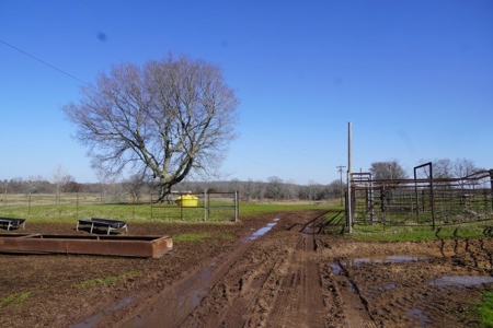 Oklahoma Country Homesite/Pasture/Cattle/Hay Farm For Sale - image 49