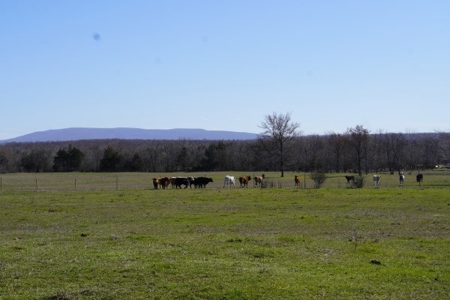 Oklahoma Country Homesite/Pasture/Cattle/Hay Farm For Sale - image 43