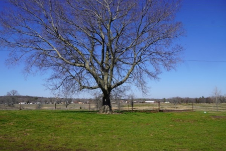 Oklahoma Country Homesite/Pasture/Cattle/Hay Farm For Sale - image 5