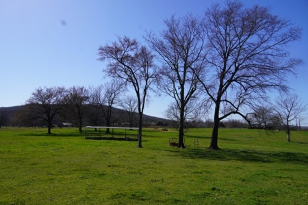 Oklahoma Country Homesite/Pasture/Cattle/Hay Farm For Sale - image 23