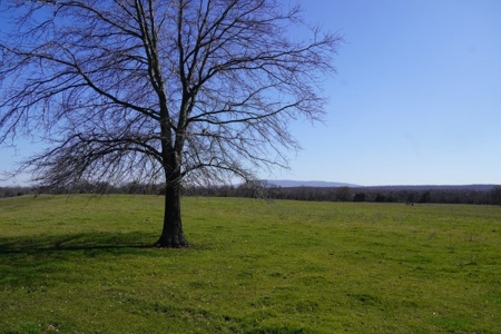 Oklahoma Country Homesite/Pasture/Cattle/Hay Farm For Sale - image 30