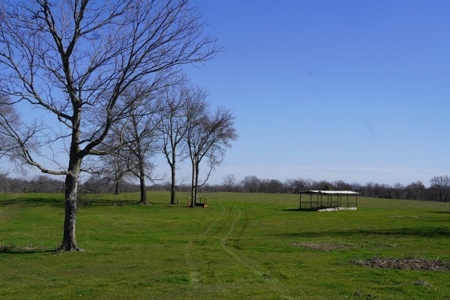 Oklahoma Country Homesite/Pasture/Cattle/Hay Farm For Sale - image 2