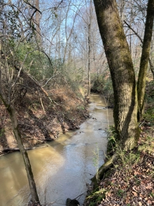 Beautiful Rural Acreage! - image 12