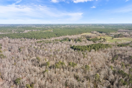 Beautiful Rural Acreage! - image 6
