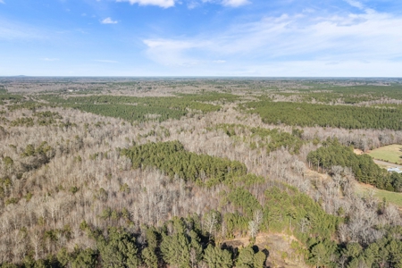 Beautiful Rural Acreage! - image 8