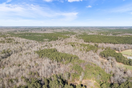 Beautiful Rural Acreage! - image 9