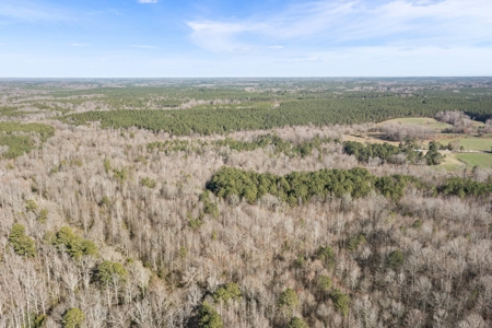 Beautiful Rural Acreage! - image 7