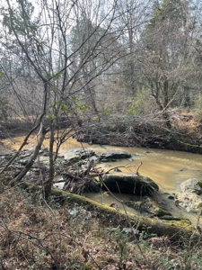 Beautiful Rural Acreage! - image 13