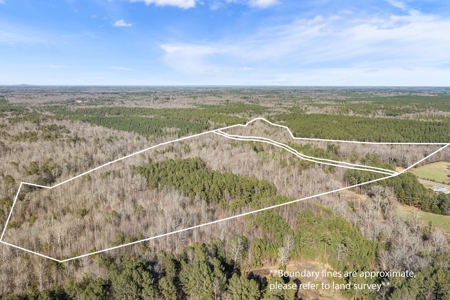 Beautiful Rural Acreage! - image 3