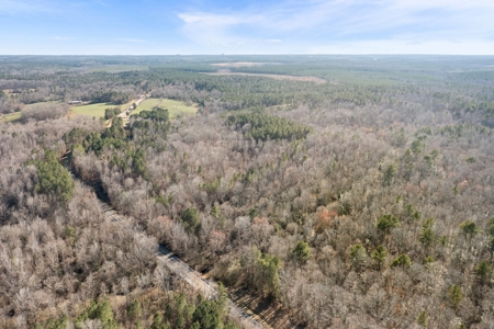 Beautiful Rural Acreage! - image 5