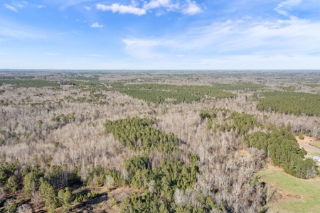 Beautiful Rural Acreage! - image 10