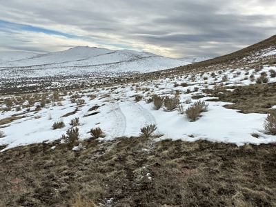 Nevada Ranch Recreational Hunting Mountain Land For Sale - image 22