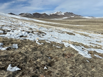 Nevada Ranch Recreational Hunting Mountain Land For Sale - image 1
