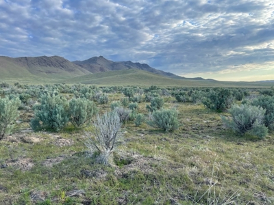 Nevada Ranch Recreational Hunting Mountain Land For Sale - image 48