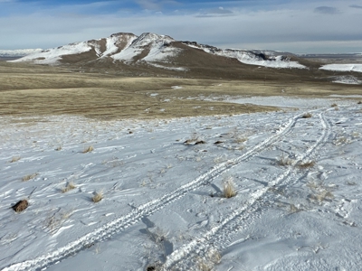 Nevada Ranch Recreational Hunting Mountain Land For Sale - image 4